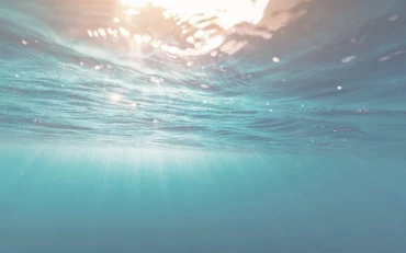 Мікроорганізми у воді